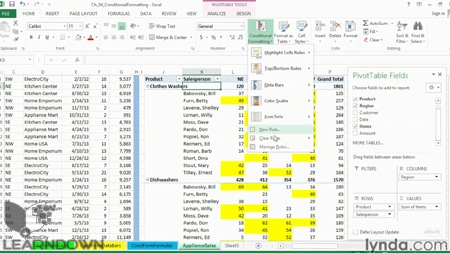 دانلود آموزش اکسل 2013: تکنیک های فرمت بندی پیشرفته - Excel 2013: Advanced Formatting Techniques-3