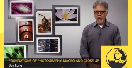دانلود آموزش مبانی عکاسی: ماکرو و گلوزآپ - Foundations of Photography: Macro and Close-Up