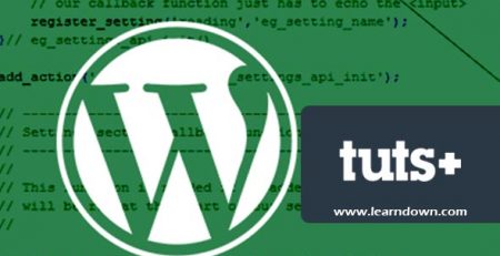 دانلود آموزش استفاده از تنظیمات API وردپرس | Using the WordPress Settings API
